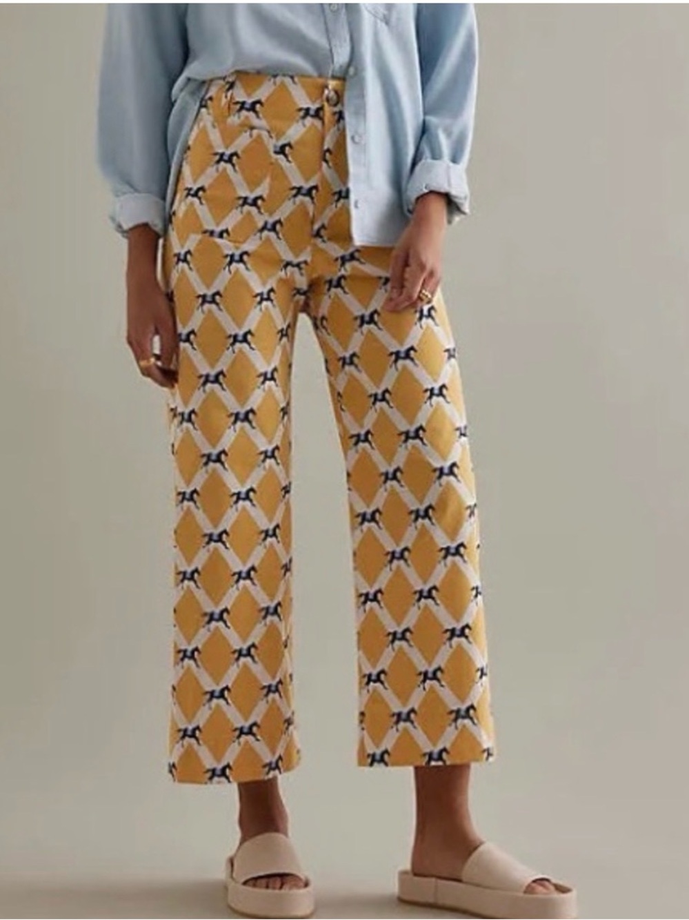 Maeve The Colette Cropped Wide-Leg Pants/ 25 / inseam 26”/ Horses/ Anthropologie